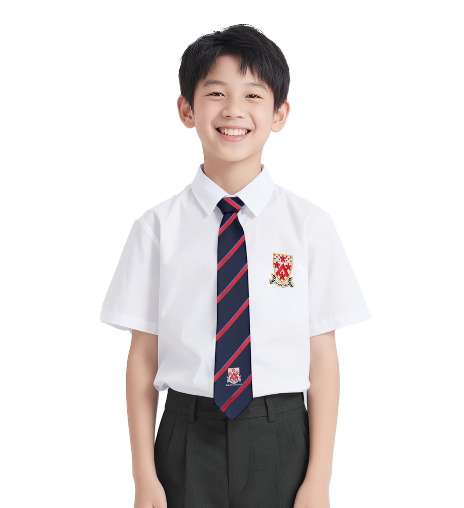 德威男短袖衬衣