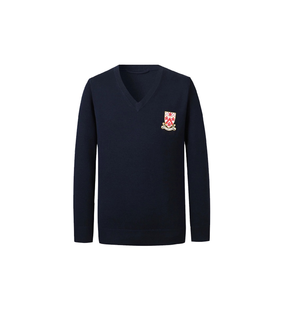 Navy Cotton Sweater  (Male Fit)