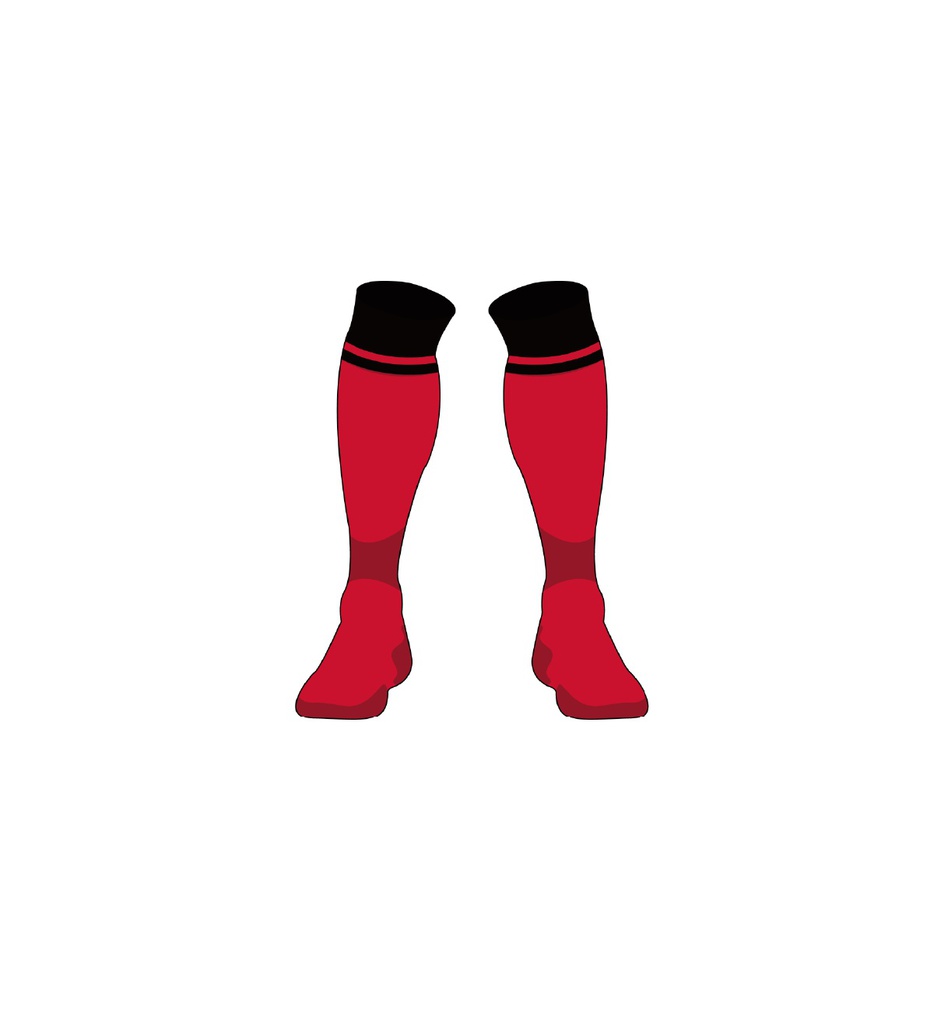 DCSL Leopards Football Socks  - Away